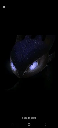 night fury - BL