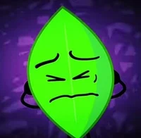 Leafy-bfb