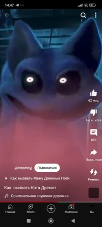 Кошачий сон злая вер