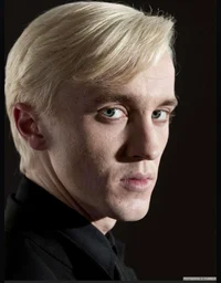 Draco death eater 