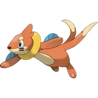 Buizel