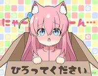 Bocchi the Neko 