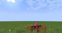 Raspberry Stickwoman