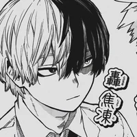 Shoto Todoroki