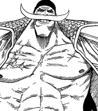 Whitebeard