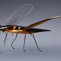 Mosquito Hawk