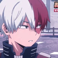 Shoto Todoroki