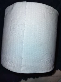 Toilet paper