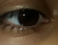 Aldemirin gotn seven