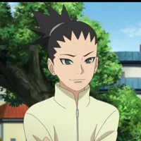 Shikadai Nara 