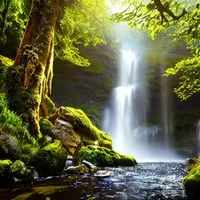 Vent or trama helper