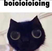 Silly guy