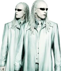 Matrix Twins