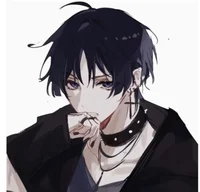 Streamer Bf Scara 