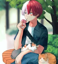 Shoto todoroki 
