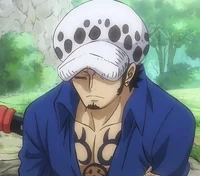 Law
