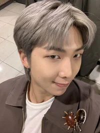 Namjoon turkce 