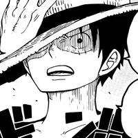 Luffy-your husband