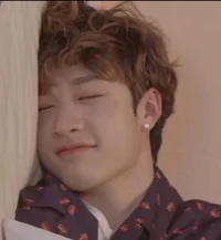 Mafia Bangchan 