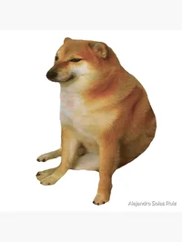 Cheems