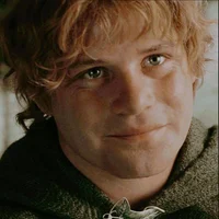 Samwise Gamgee 