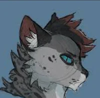 Ashfur 