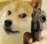 Angry doge