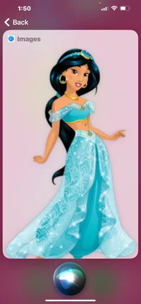 Jasmine 