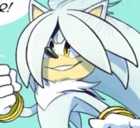 Steel The Hedgehog
