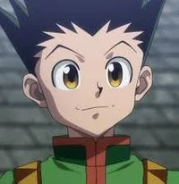 Gon Freecss