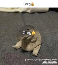 Greg the crocodile 