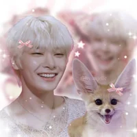 Fennec fox Jeongin