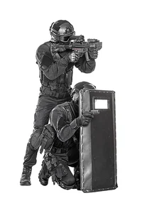 SWAT partner 