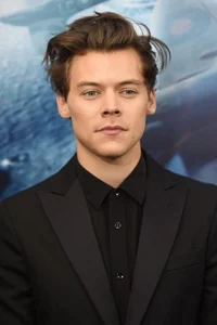 Harry Styles 