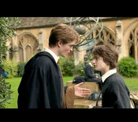 Cedric and Harry 