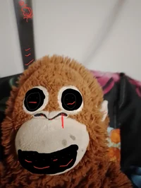 Monkey dude