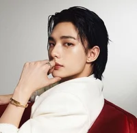 socialite hyunjin