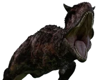 Carl The Carno