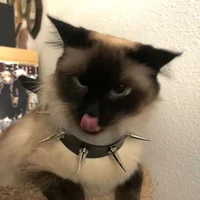 Smolder