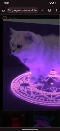 Demonicgreycat