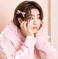 han jisung - minsung