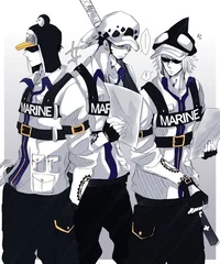 Law