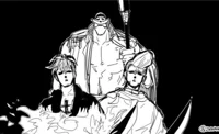 Whitebeard Pirates