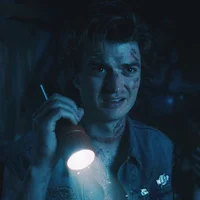 Steve Harrington 