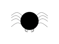 A spider