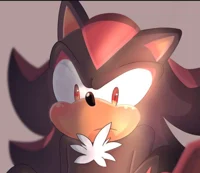 Shadow The Hedgehog