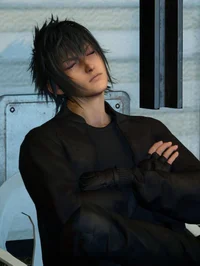 Noctis Lucis Caelum
