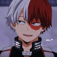 Todoroki Shoto