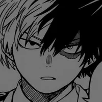 Shoto Todoroki