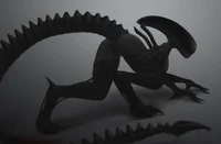 Xenomorph NSFW